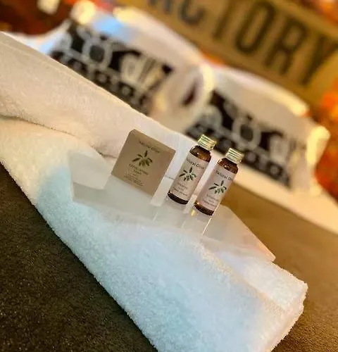 Hyper Centre The Factory 公寓 科尔马