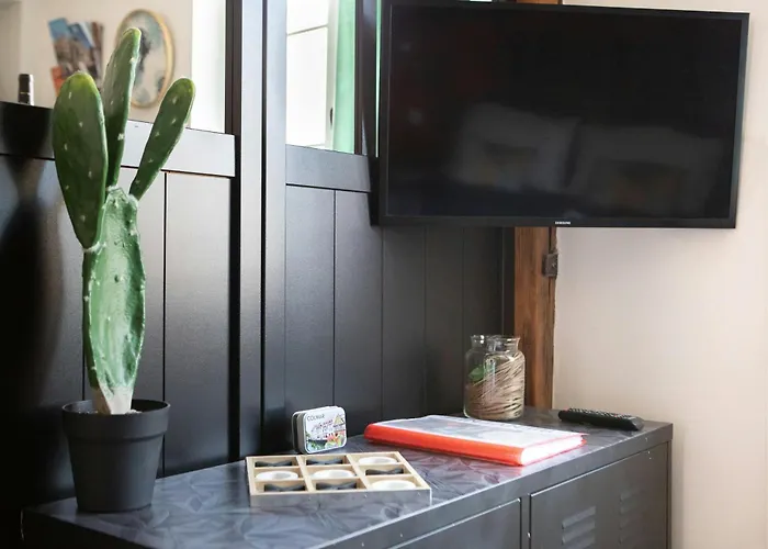 Hyper Centre The Factory 公寓 科尔马